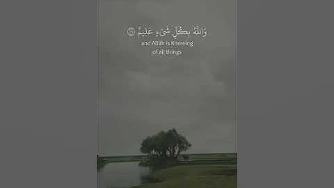 سورة الحجرات ✔ قالت أعراب أمنا