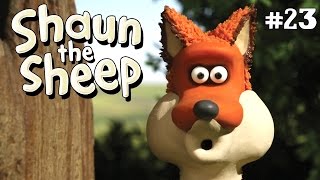Cock-a-doodle Shaun | Shaun the Sheep Season 2 | Full Episode
