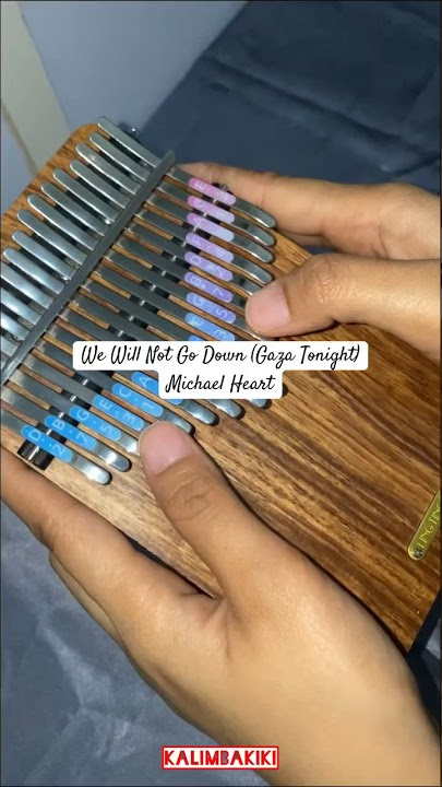 We Will Not Go Down - Michael Heart Kalimba Cover #savepalestine