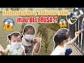 MOP KIDS - Thalia dan Thania kasih makan RUSA! Semua KENYANG