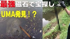 宝探しちゃんねるatenales Youtube 宝探しちゃんねるatenales Youtube