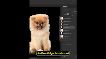 Hidden Fur selection techniques #photoshop #photoshoptutorial #shorts