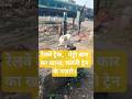 Street Cat's Mealtime Caught on Camera! 🍽️😻 #shorts