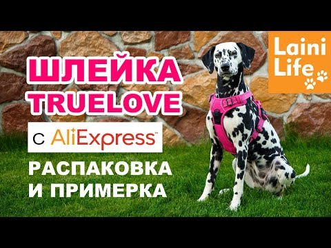 Шлейка для собаки TRUELOVE с Aliexpress