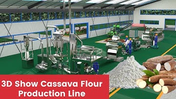 【Cassava Flour Machine】3d show the wet type process of cassava flour processing