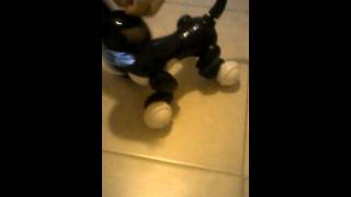 Zoomer Kitty Tutorial