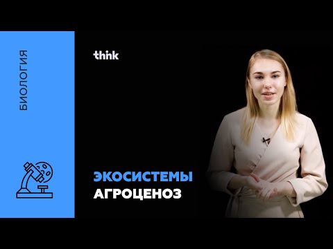 Экосистемы. Агроценоз | Биология