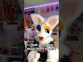 Like why you gotta expose me like that MOM 😖#fyp #antizoo #furry #fursuiters #fursuit #theriangear