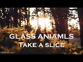 Glass animalstake a slice 8d use headphones 