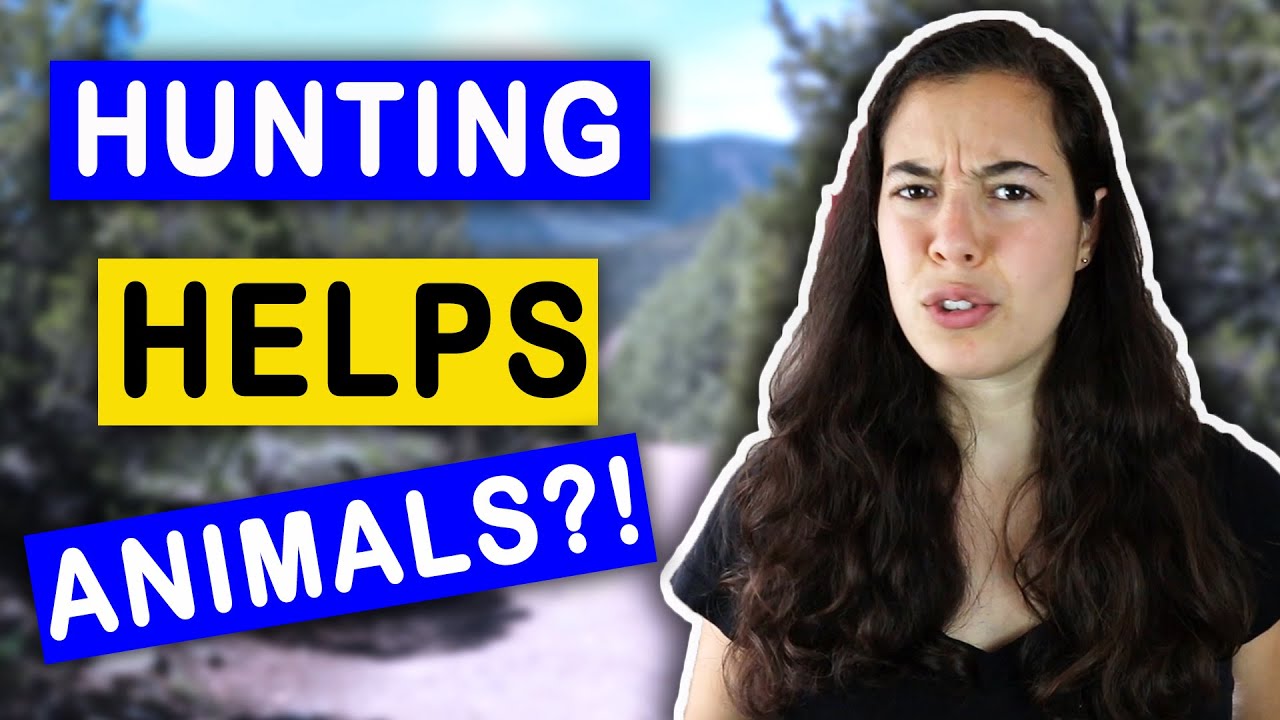 Is Hunting Ethical For Animal Lovers THE TRUTH YouTube is-hunting-ethical-for-animal-lovers-the-truth-youtube