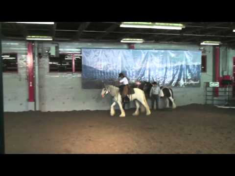 Calgary Stampede 2010 Video Compilation - Part 1