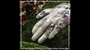 Antwood - Yontoo How To Get Rid