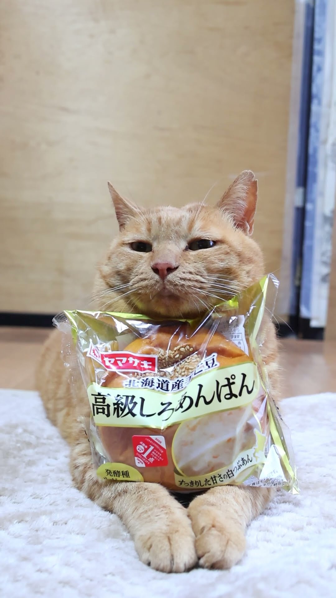 シロネコ Y-3 x Yohji Yamamoto Kaiwa low-top Sneakers | White | FARFETCH