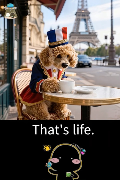 How to confront difficulties in a coffee time #petlover #animation #dailyinspire