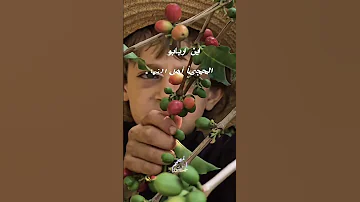 اي بني اسمع وصايا جمعت حكما خصت بها خير الملل 
