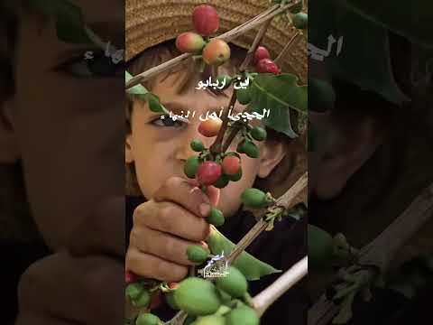 اي بني اسمع وصايا جمعت حكما خصت بها خير الملل