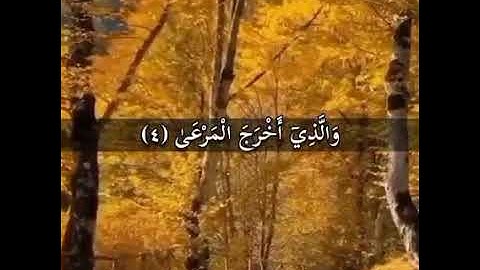 سوره اعلی آیه 1تا19 قاری عبدالرحمن مسعد