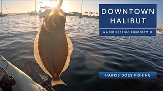 Downtown Halibut & A Few Good Spotted Bay Bass in San Diego 2024 #fishing #kayakfishing #fish #bass