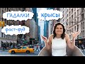 Манхеттен - дыра с крысами и гадалками?