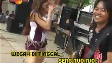 ikif khawazima bojo loro | dangdut (official music video)