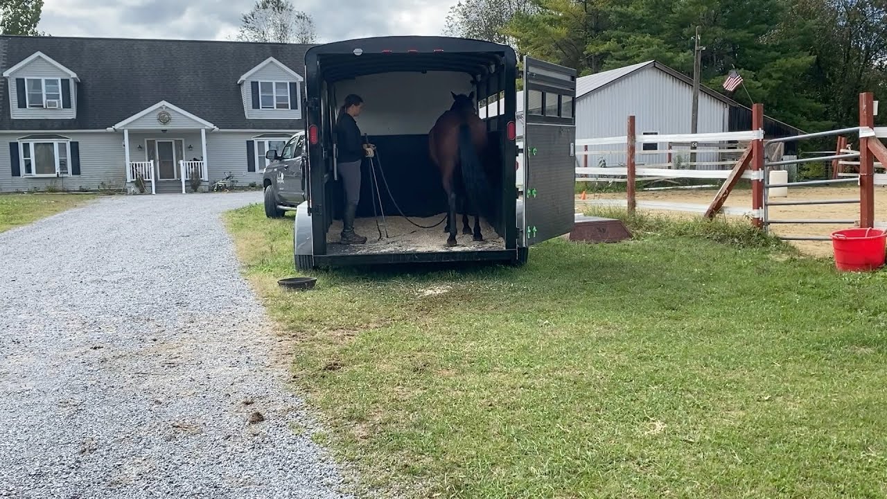 Teach your Horse to be Relaxed in the Trailer