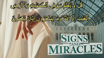 Amazing Quran Stories You Never Heard| - Surat Alnaml - سورة النمل