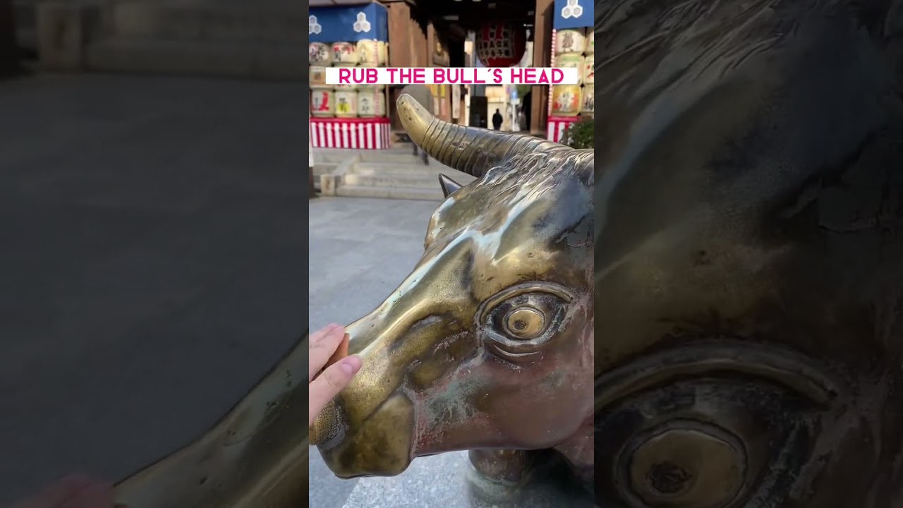 Visiting a Japanese Shrine Good Luck Bull Statue