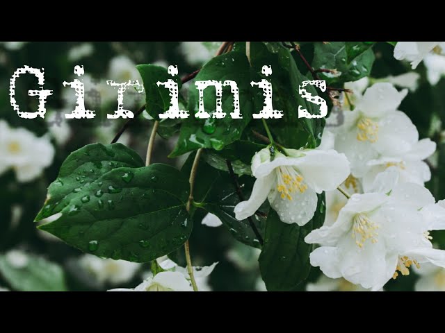 EMKA 9 - Girimis (lirik lagu) class=