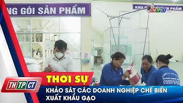 Khảo sát các doanh nghiệp chế biến, xuất khẩu gạo | Cần Thơ TV