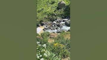 سورة نوح آيه (10-12)🌱