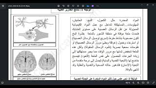 حل وضعية ادماجية حول الاتصال العصبي و المخدرات رابعة متوسط(حصة زووم مسجلة)