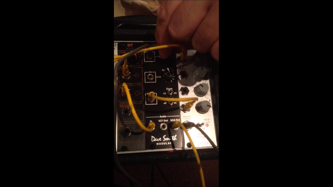 Dave Smith DSM01 curtis filter with Dtronics TB-303 style osc