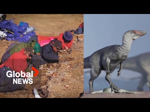 Videó: Kenya egy felhúzáson