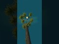 Relaxing Night | Relax Village | NDF Music Official. #village #calm #relax #nature #shorts