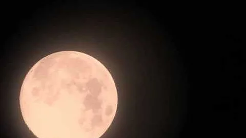 Okeechobee Moon- Erich Overhultz & Friends