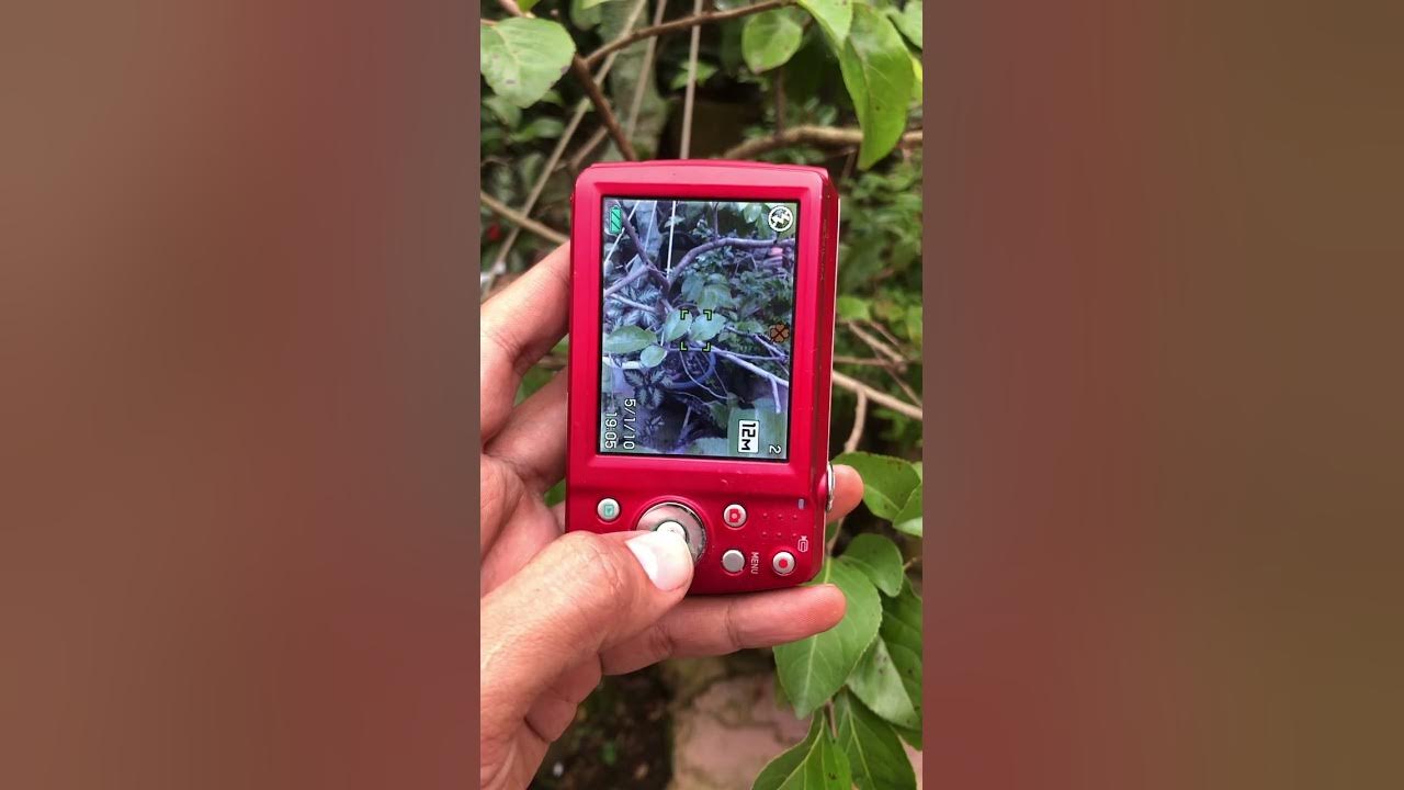 Casio Exilim - YouTube