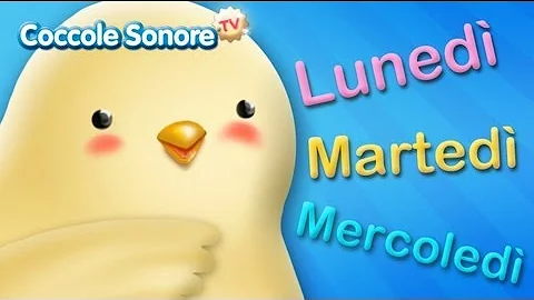 Che vuol dire chiusino?