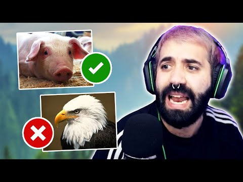 CREO LA TIER LIST DEFINITIVA | TOP 100 ANIMALES