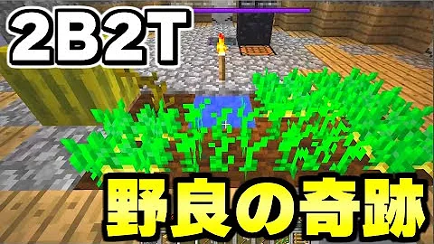 マイクラ 無法サーバー２ｂ２ｔで僕の村が完全に破壊されました Minecraft Mp3