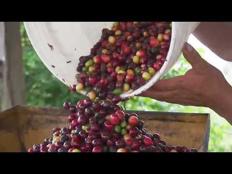 Introducing the USAID