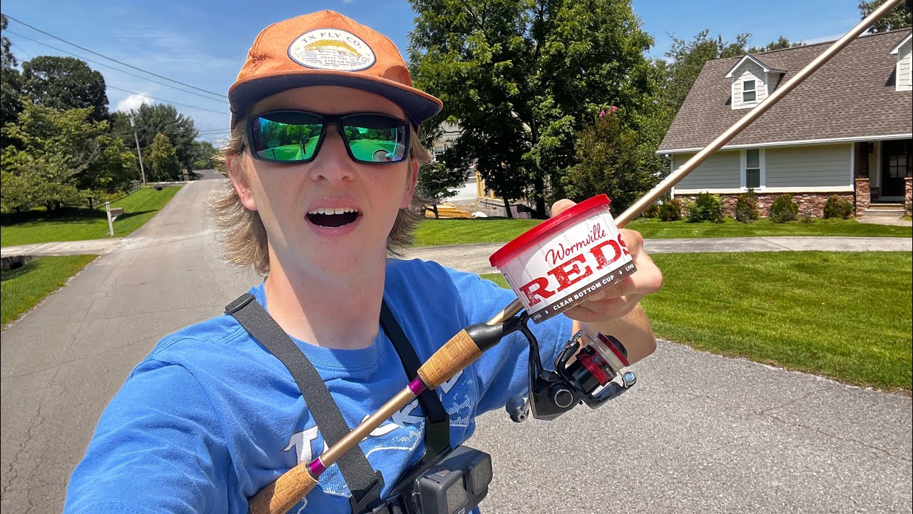 The ULTIMATE guide to catching BLUEGILL!