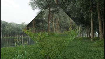 Forest Scatter Corona Renderer + 3DMax 2015