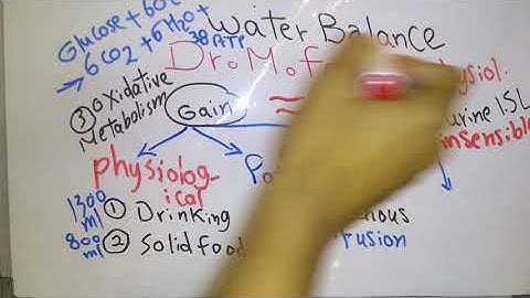 Introduction new system (Water balance and Homeostasis) dr mohamed fayez