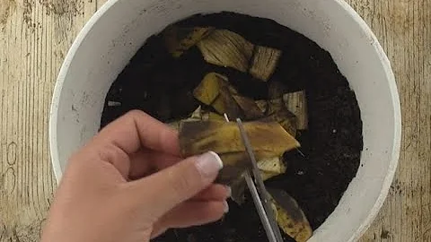 You'll never throw away banana peels after watching this: 4 ways to recycle them!