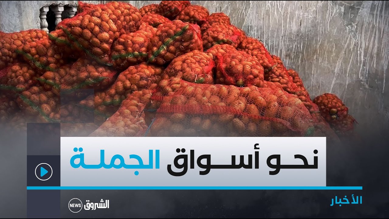 المدية..الشروع في تفريغ البطاطا من غرف التبريد لإغراق السوق وكسر الأسعار