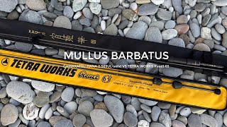 видео: Раздача барабули на закате. Gamakatsu Hana 2 S69UL-solid VS Tetra Works React 65 картинка: Раздача барабули на закате. Gamakatsu Hana 2 S69UL-solid VS Tetra Works React 65