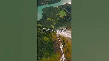 #القارئ سعد الغامدي #اكسبلور #المصحف #اذكرالله #دويتو #راحة_نفسية #تيك_توك #حالات_واتس #لايك #duet