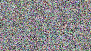 This Rat Was Hidden In An Image File