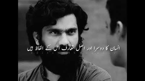 PARIZAAD whatsapp status  #short #poetry #urdu