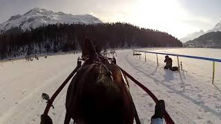 Лошади в санях соревнование видео